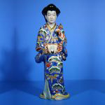 �Èɖ��� 009 �ڍ�